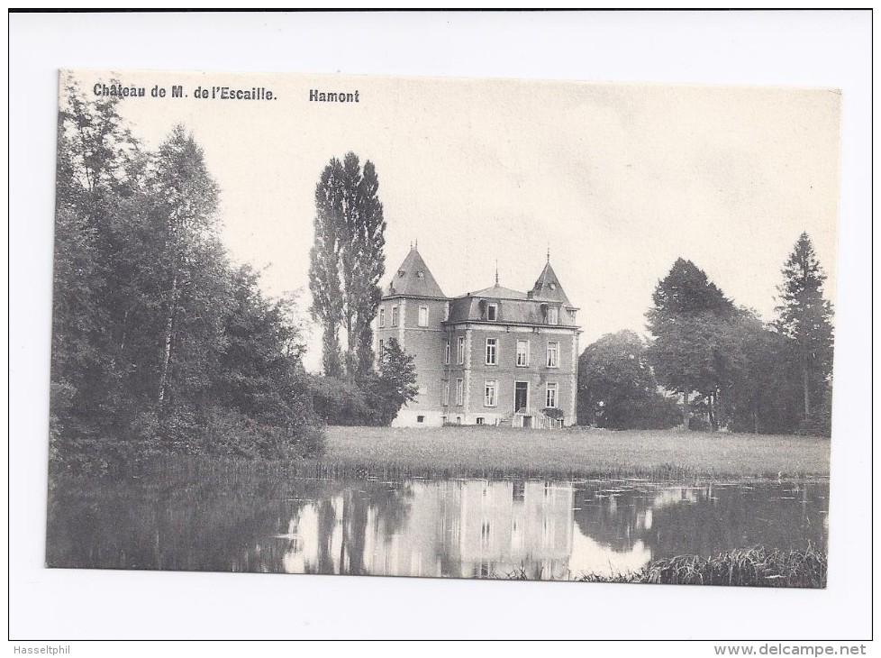 Hamont  Chateau De M. De L'Escaille. - Hamont-Achel