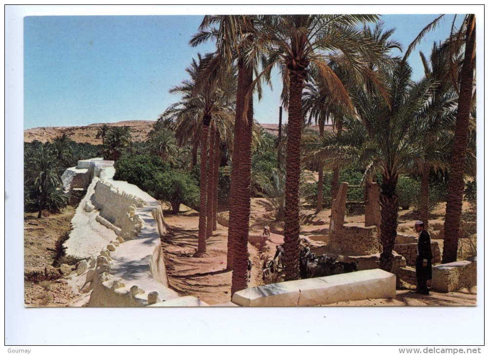 Algérie : Ghardaia - N°4155 - Ghardaia