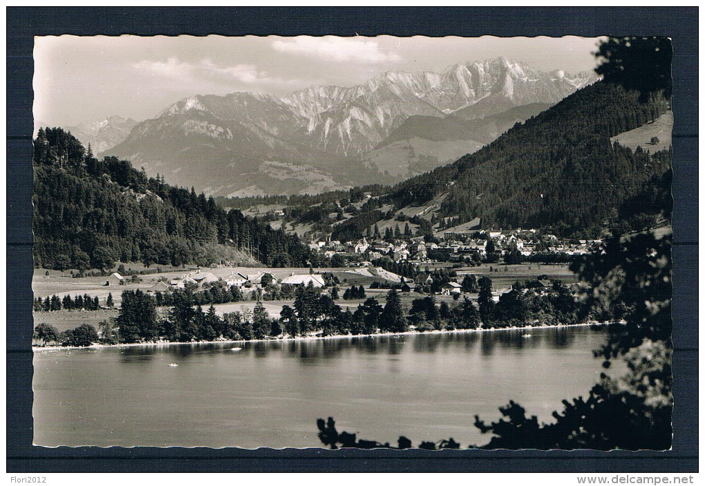 (493) AK Alpsee Mit Blick Auf Immenstadt - Immenstadt