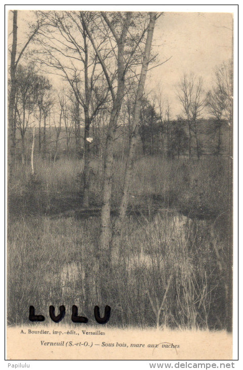 DEPT 78 : Verneuil Ser Seine , Sous Bois Mare Aux Vaches ( Precurseur ) - Verneuil Sur Seine