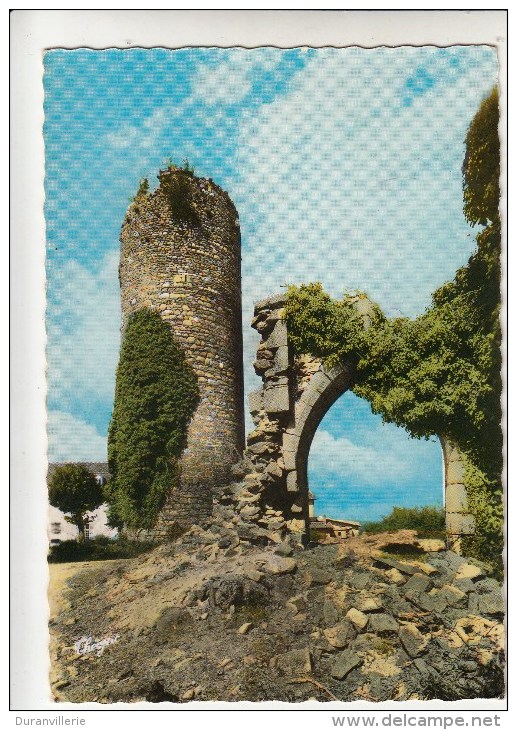 87 - CHALUS -Tour Du Chateau Assiéger Par Richard Coeur De Lion - CPSM - Chalus