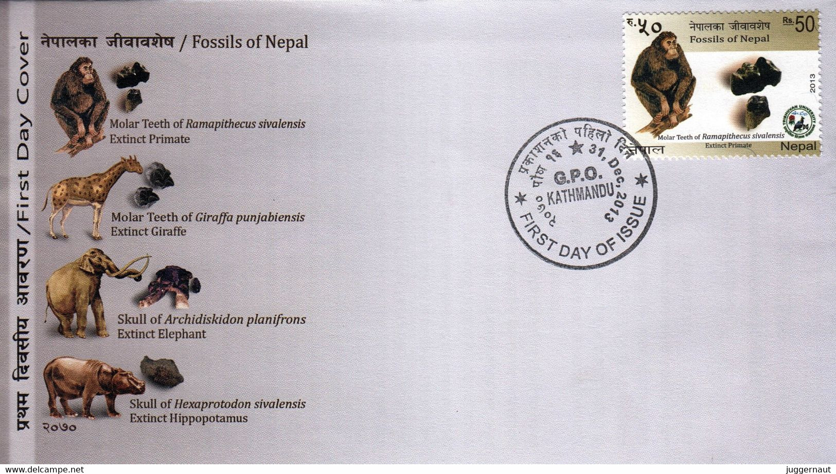 Prehistoric RAMAPITHECUS Fossil FDC NEPAL 2013 - Chimpanzees