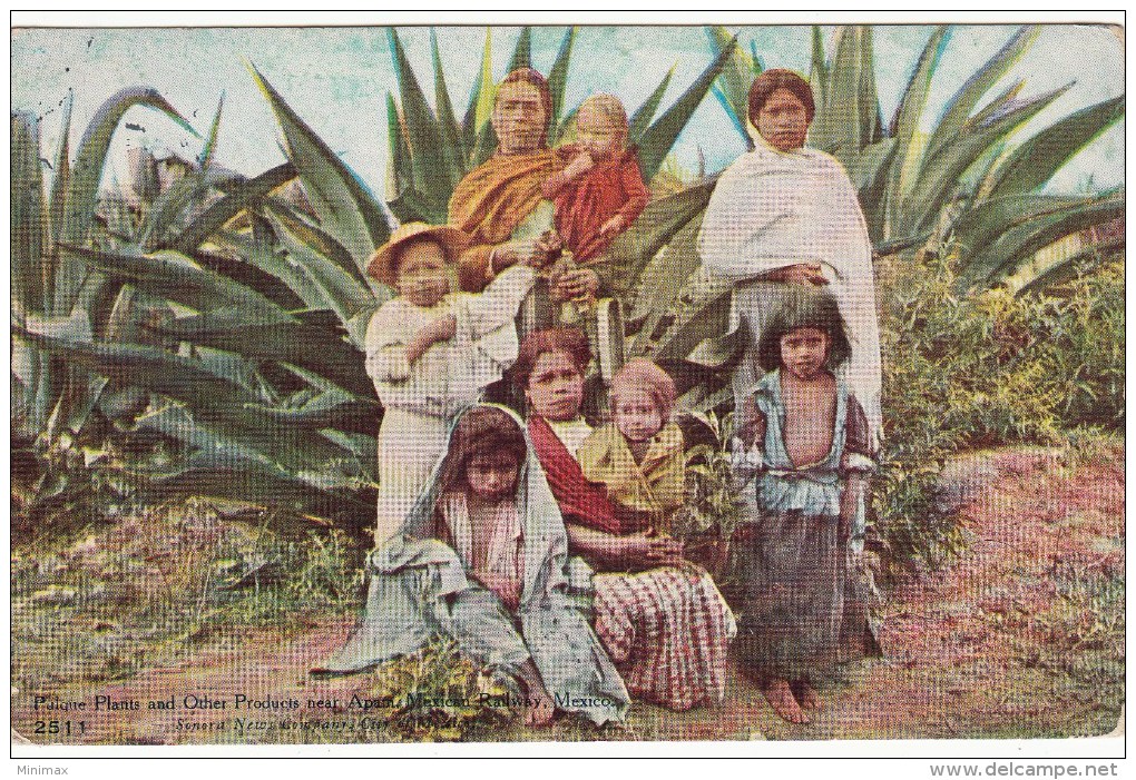 Pulque Plants And Other Products Near Apam - 1909 - Mexico