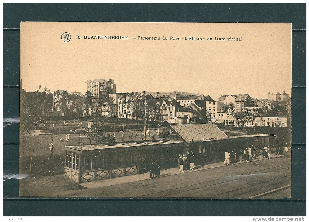 BLAKENBERGE: Panorama Du Parc Et Station Du Tram Vicinal, Niet Gelopen Postkaart (GA12587) - Blankenberge