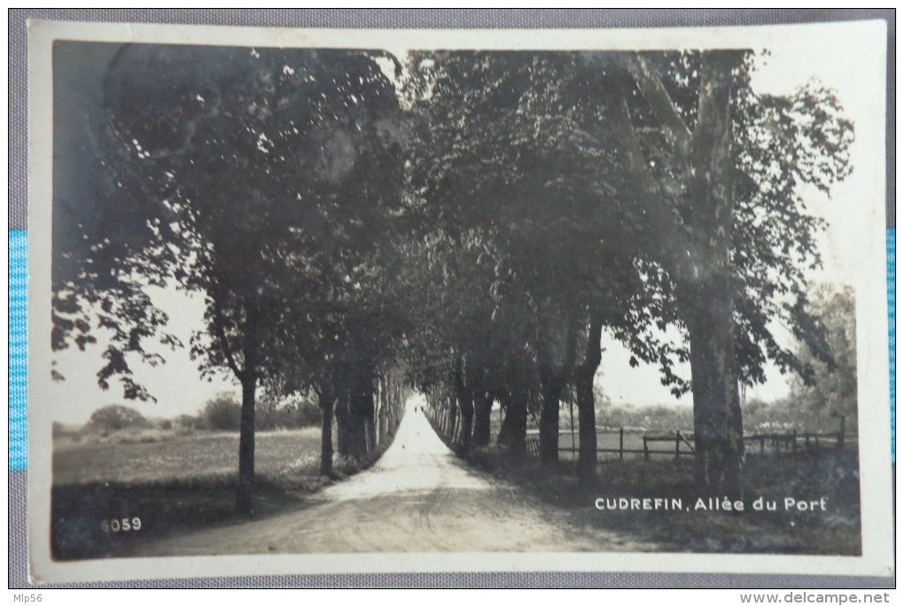 SUISSE CUDREFIN ALLEE DU PORT N°6059 - Cudrefin