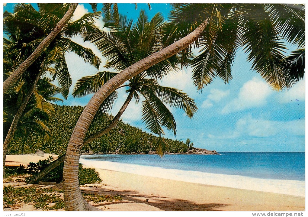 CPSM Seychelles-Anse Gaulette Mahe   L1635 - Seychellen