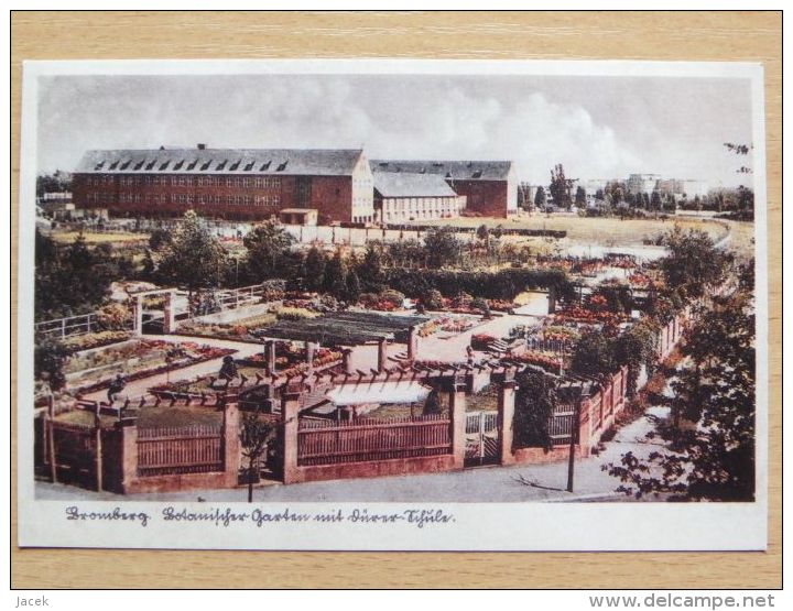 Bromberg /Bydgoszcz 1941 Year / Botanic Garden    / Reproduction - Westpreussen