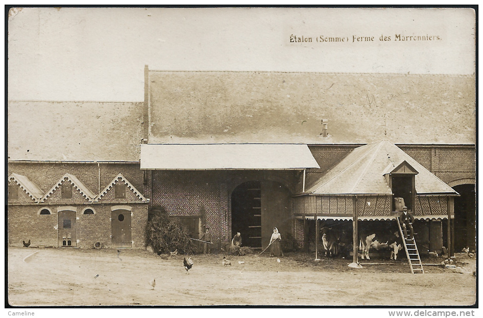 80 . ETALON . Ferme Des Marronniers - CARTE PHOTO - Autres & Non Classés