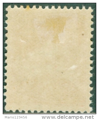 ALGERIA, COLONIA FRANCESE, FRENCH COLONY, MOSCHEA LA PECHERIE, 1926-1939, NUOVO (MLH*), Scott 54 - Neufs