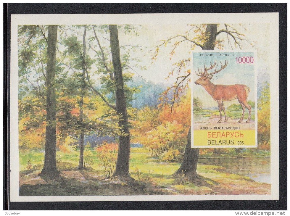 Belarus MNH Scott #134 Imperf Souvenir Sheet 10000r Cervus Elaphus - Wildlife - Belarus