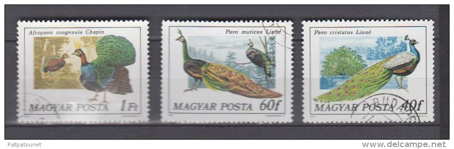 Hongrie YV 2550/2 O 1977 Paons - Peacocks