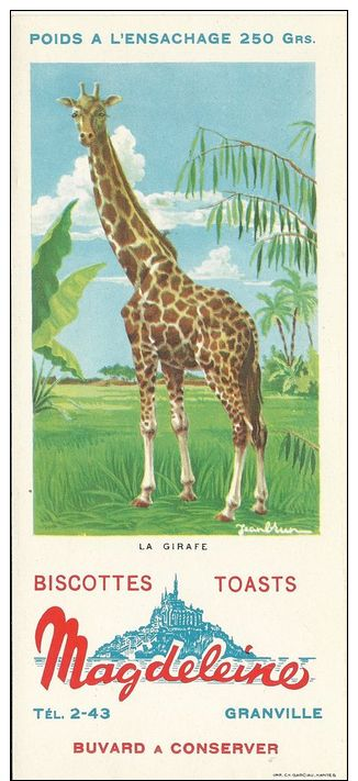 BUVARD 16349 MAGDELEINE ANIMAUX GLACE GIRAFE - Autres & Non Classés