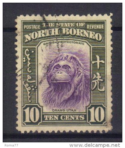 W380 - BORNEO DEL NORD 1938 , Yvert N. 248 Usato - North Borneo (...-1963)