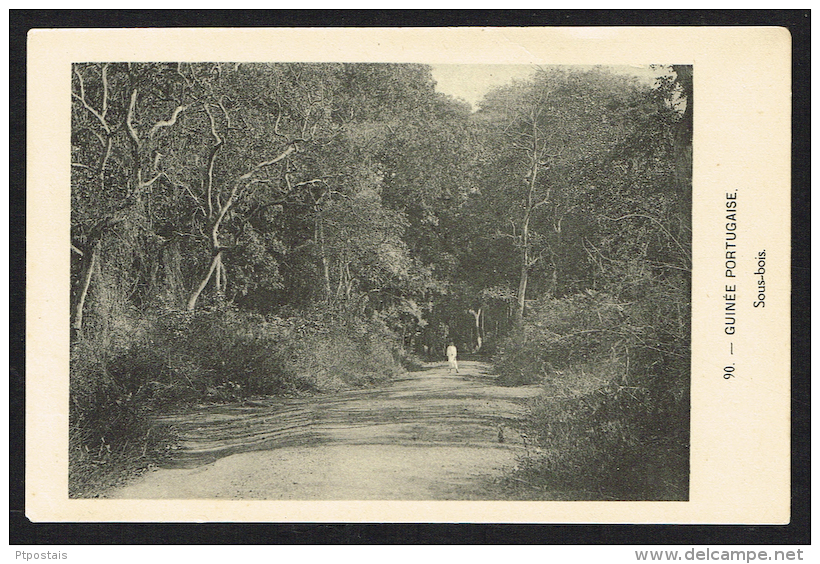 GUINÉ GUINÉE PORTUGAISE (Guinea Bissau) - Sous-bois - Guinea-Bissau