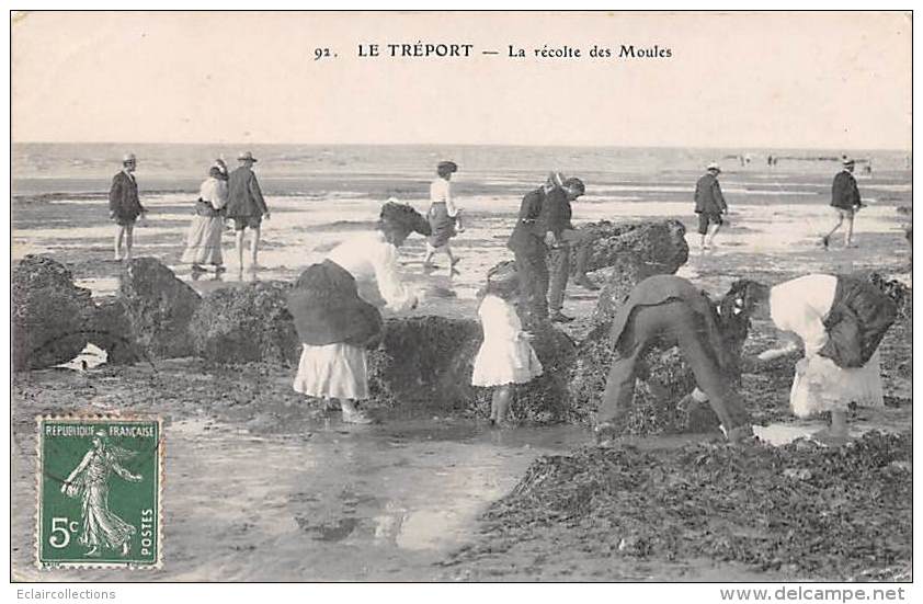Le Tréport   76   Récolte Des Moules - Le Treport