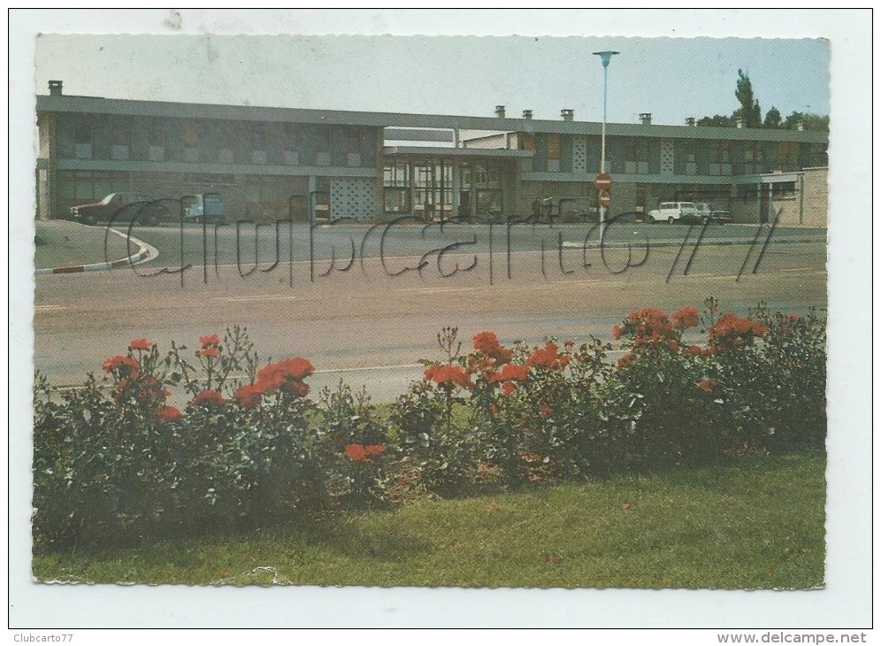 Saint-Paul-sur-Ternoise (62) : La Gare Vue Du Parking En 1982 (animé) GF. - Saint Pol Sur Ternoise