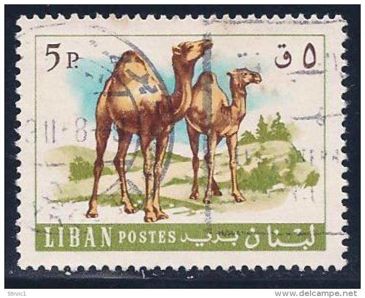 Lebanon, Scott # 456 Used Camels, 1968 - Lebanon