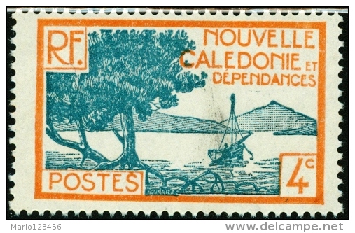 NUOVA CALEDONIA, NEW CALEDONIA, FRENCH TERRITORY, 1928, FRANCOBOLLO NUOVO (MNG),  Mi 138, Scott 138 YT 141 - Ungebraucht