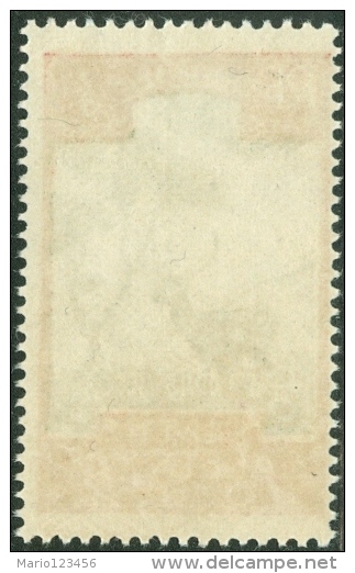 NUOVA CALEDONIA, NEW CALEDONIA, FRENCH TERRITORY, SOVRATASSA, 1928, FRANCOBOLLO NUOVO (MNG), Mi P20, Scott J20, T27 - Ungebraucht