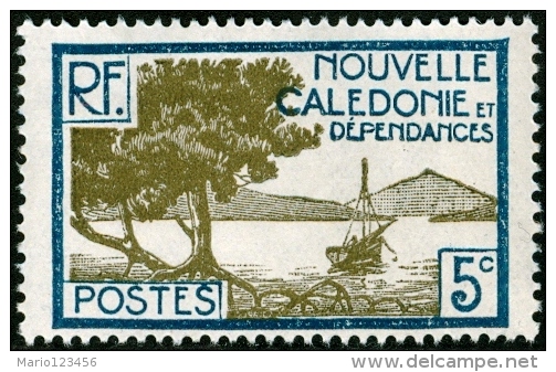 NUOVA CALEDONIA, NEW CALEDONIA, FRENCH TERRITORY, 1928-1940, FRANCOBOLLO NUOVO (MNG), Mi 139, Scott 139, YT 142 - Unused Stamps
