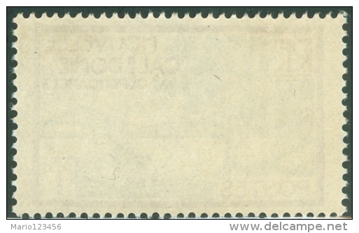 NUOVA CALEDONIA, NEW CALEDONIA, FRENCH TERRITORY, 1928, FRANCOBOLLO NUOVO (MNG),  Mi 136, Scott 136 YT 139 - Unused Stamps