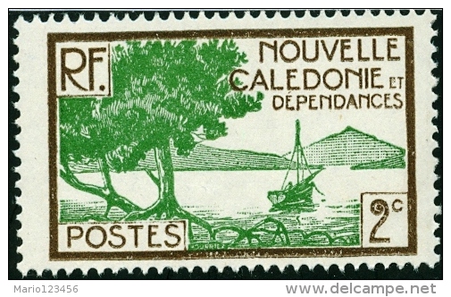 NUOVA CALEDONIA, NEW CALEDONIA, FRENCH TERRITORY, 1928, FRANCOBOLLO NUOVO (MNG),  Mi 137, Scott 137 YT 140 - Unused Stamps