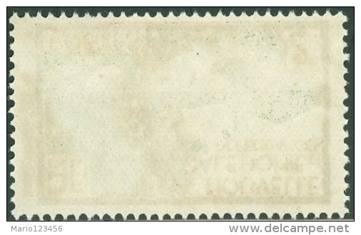 NUOVA CALEDONIA, NEW CALEDONIA, FRENCH TERRITORY, 1928, FRANCOBOLLO NUOVO (MNG),  Mi 137, Scott 137 YT 140 - Ungebraucht