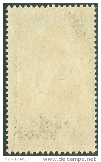 NUOVA CALEDONIA, NEW CALEDONIA, FRENCH TERRITORY, 1928, FRANCOBOLLO NUOVO (MNG) - Unused Stamps