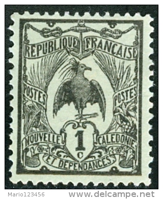 NUOVA CALEDONIA, NEW CALEDONIA, FRENCH TERRITORY, 1905, FRANCOBOLLO NUOVO (MNG), Mi 85, Scott 88, YT 88 - Neufs