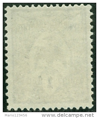 NUOVA CALEDONIA, NEW CALEDONIA, FRENCH TERRITORY, 1905, FRANCOBOLLO NUOVO (MNG), Mi 85, Scott 88, YT 88 - Neufs