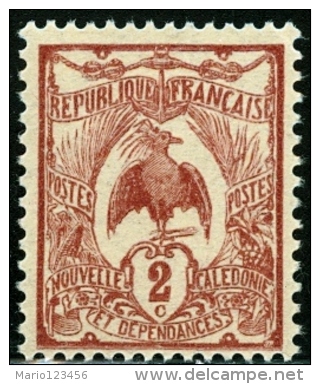 NUOVA CALEDONIA, NEW CALEDONIA, FRENCH TERRITORY, 1905-1928, FRANCOBOLLO NUOVO (MNG) - Nuovi