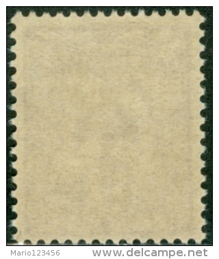 NUOVA CALEDONIA, NEW CALEDONIA, FRENCH TERRITORY, 1905-1928, FRANCOBOLLO NUOVO (MNG) - Neufs