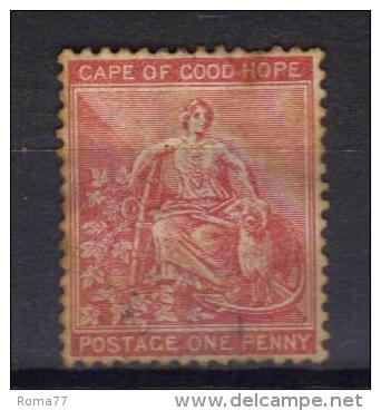 W442 - CAPE OF GOOD HOPE , Yvert N. 14 - Cap De Bonne Espérance (1853-1904)