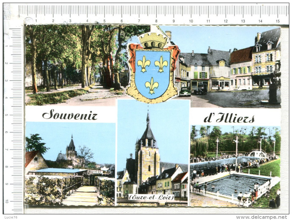 ILLIERS  -   SOUVENIR  -  5 Vues  :  Sous Bois, Bourg, Eglises,  Piscine - Illiers-Combray