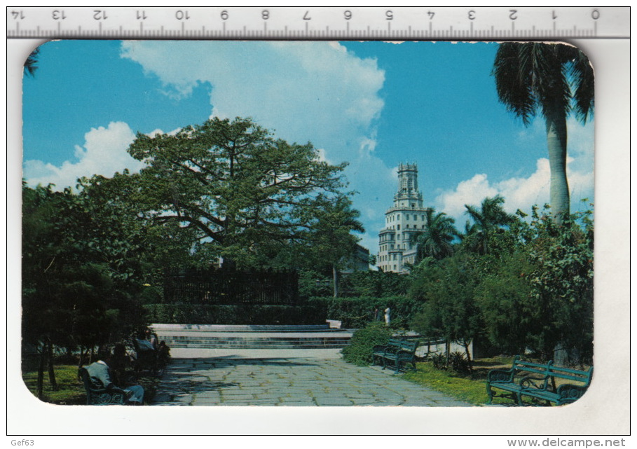 Parque Y Arbol De Fraternidad - En El Fondo Compania Cubamna De Telefonos - Cuba