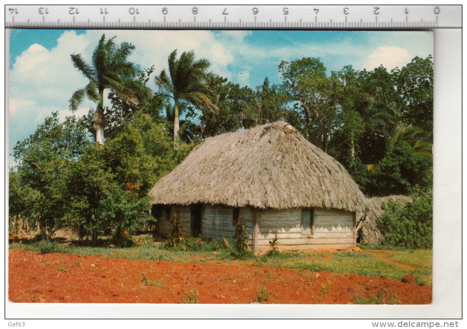 Bohio Cubano (Tipica Viviendo Campesina) - Cuba