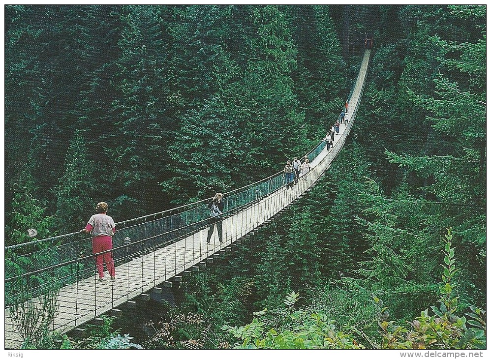 Capilano Suspension Bridge   Vancouver      British  Columbia  Canada   # 03298 - Nanaimo