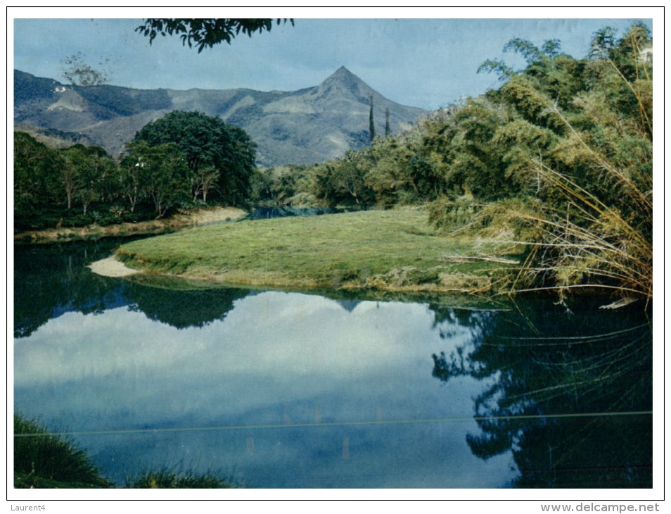 (PF 600) New Caledonia - Amoa Valley - Nouvelle-Calédonie