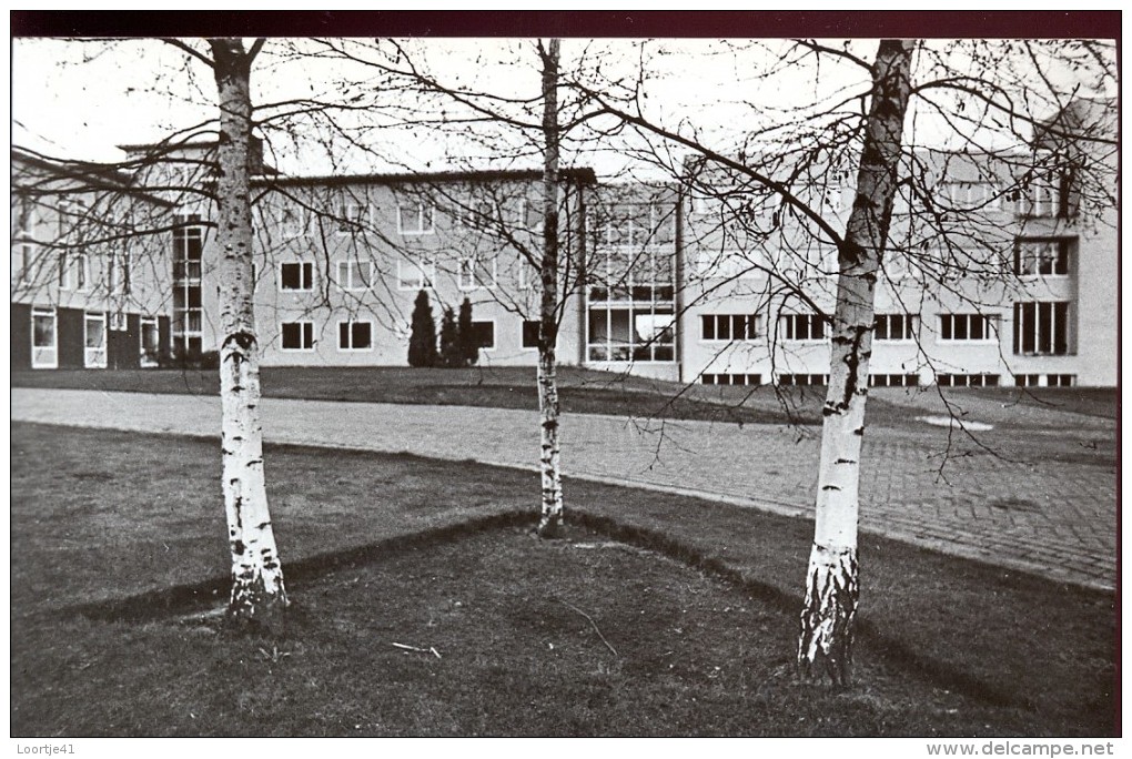 PK Meerhout - Rusthuis De Berk - Meerhout