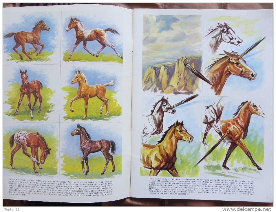 Mona Mills - How To Paint HORSES And Other Animals - Published By Walter Foster - Grafik & Design