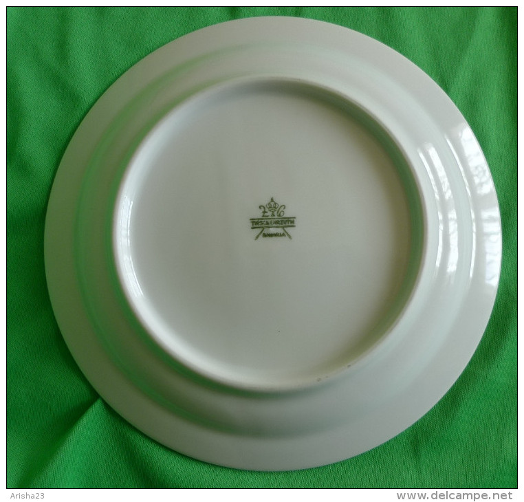 Vintage German Pottery Germany Tirschenreuth Bavaria Collector Plate Alchemilla Vulgaris - Tirschenreuth (DEU)