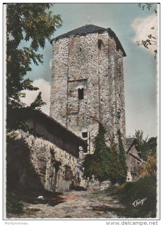 R :  Haute  Vienne :  SAINT  MEARD  : La  Tour   Carré  D '  Echizadour - Autres & Non Classés