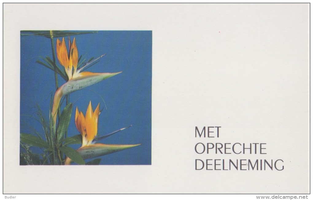 ## Met Oprechte Deelneming/(Sincères Condoléances) ## : OVERLIJDEN,DÉCÈS,FLEURS,F LOWERS, - Funérailles