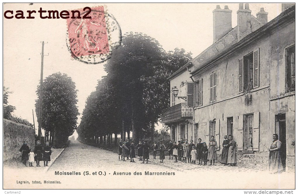 MOISSELLES AVENUE DES MARRONNIERS TRES ANIMEE 95 - Moisselles