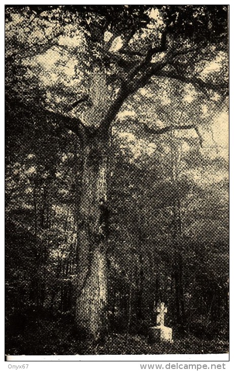 DIEUZE-DUSS (Moselle)  Chêne De Saint-Hubert-Forêt-Forestier-Croix-Tombe-VOIR 2 SCANS - - Dieuze