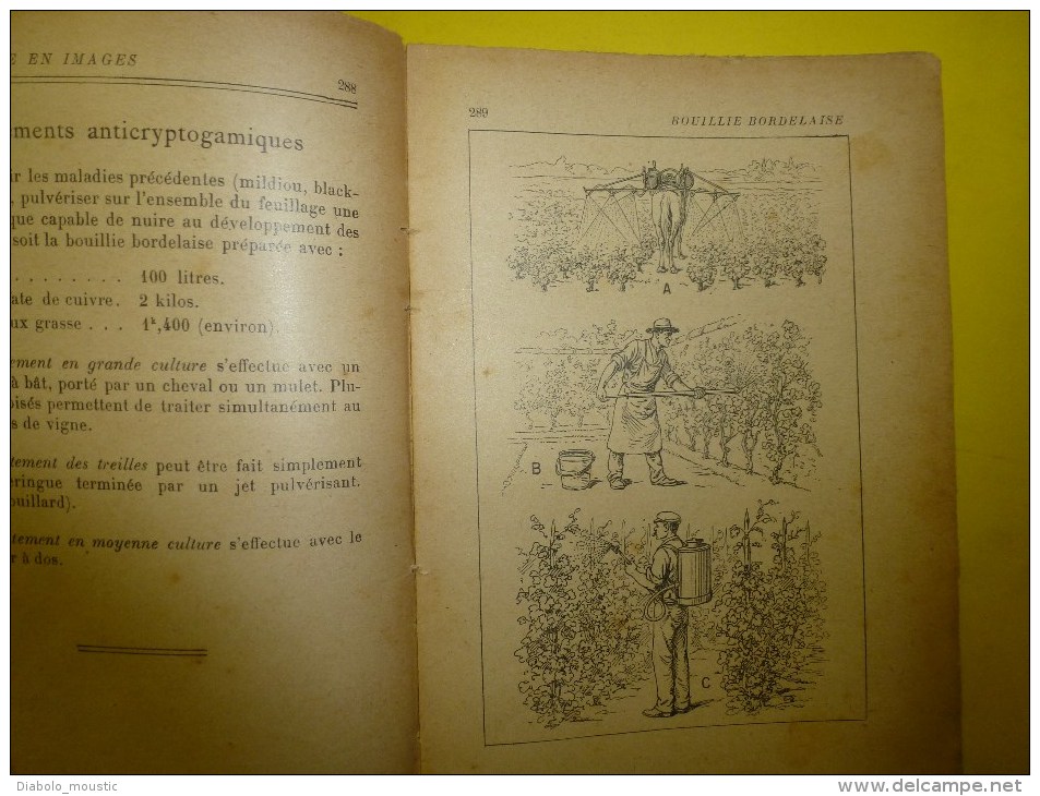 ARBORICULTURE FRUITIERE en IMAGES...abimé.....mais peut être toujours utile