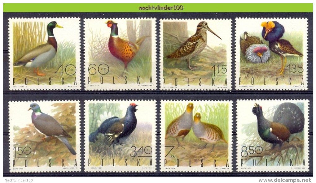 Nbm0046 FAUNA VOGELS KORHOEN POULTRY PARTRIDGE DUCK PIGEON PHEASANT BIRDS VÖGEL AVES OISEAUX POLEN POLSKA 1970 PF/MNH # - Gallinacées & Faisans