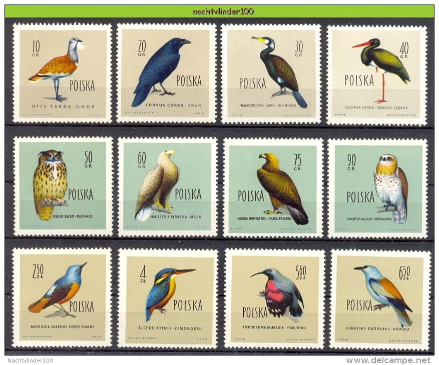 Nbm0047 FAUNA VOGELS IJSVOGEL UIL OOIEVAAR KINGFISHER EAGLE OWL STORK BIRDS VÖGEL AVES OISEAUX POLEN POLSKA 1960 PF/MNH# - Verzamelingen, Voorwerpen & Reeksen