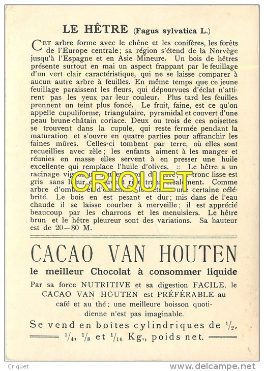 Maxi Chromo , Cacao Van Houten, Le Hêtre, Descripif Au Verso - Van Houten