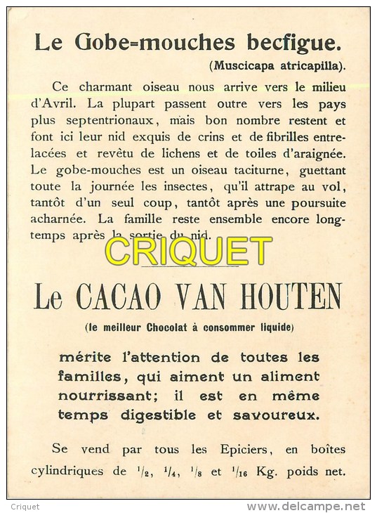 Maxi Chromo , Cacao Van Houten, Le Gobe-mouche, Descripif Au Verso - Van Houten